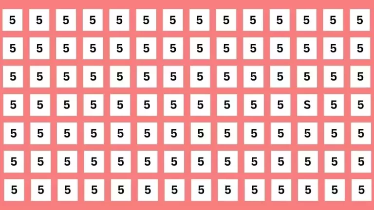 Optical Illusion Eye Test: If you have Extra Sharp Eyes Find the Letter S among 5 in 10 Secs