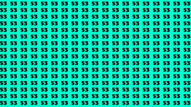 Optical Illusion Brain Challenge: If you have Hawk Eyes Find the Number 55 among 53 in 12 Secs