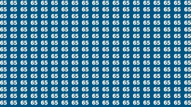 Optical Illusion Brain Challenge: If you have 50/50 HD Vision Find the Number 66 among 65 in 14 Secs