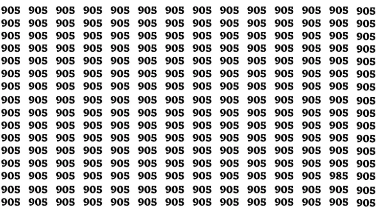 Test Your Eyes With This Brain Teaser Find the Number 985 Among 905 in 10 Secs