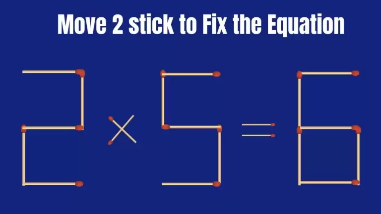 Brain Teaser: 2×5=6 Move 2 Sticks To Fix The Equation | Matchstick Puzzles