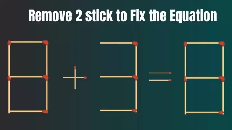 Brain Teaser: 8+3=8 Remove 2 Sticks To Fix The Equation | Matchstick Puzzles