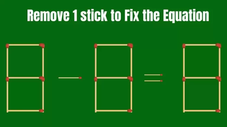 Brain Teaser IQ Challenge: 8-8=8 Remove 1 Matchstick to Fix the Equation | Matchstick Puzzles