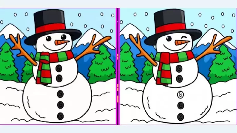 Brain Teaser Spot the Difference Picture Puzzle: Can you Spot 6 Differences in these Pictures?