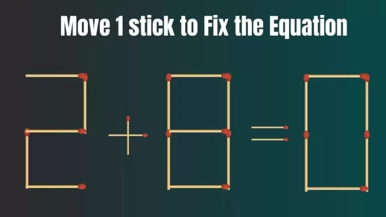 Matchstick Riddle: 2+8=0 Fix The Equation By Moving 1 Stick | Matchstick Puzzle