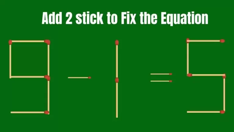 Matchstick Riddle: 9-1=5 Fix The Equation By Adding 2 Sticks | Matchstick Puzzle