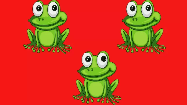 Observation Find it Out: Only 20/20 HD Vision Can Find the Different Frog in Less than 12 Secs