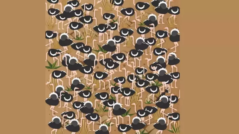 Observation Visual Test: Can you spot what’s hidden in This scene of ostriches image within 25 seconds?