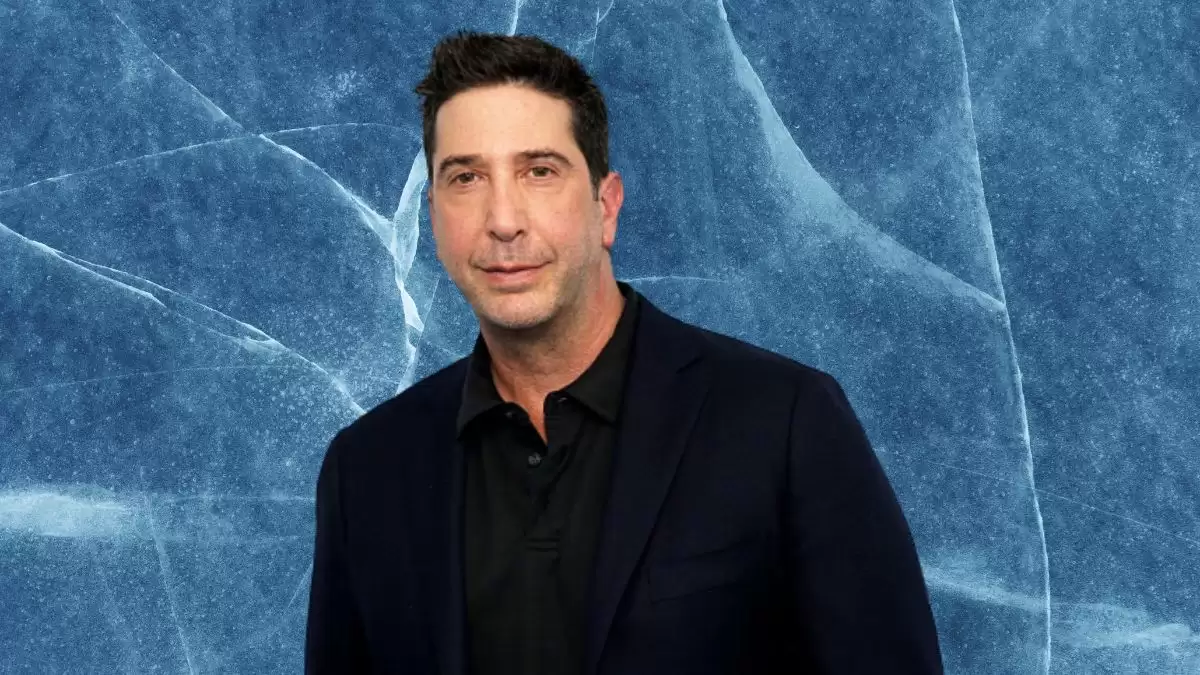 David Schwimmer Net Worth in 2023 How Rich is He Now?