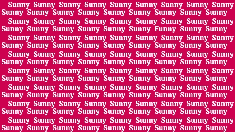 Only Extra Sharp Eyes Can Find the Word Funny among Sunny in 15 Secs