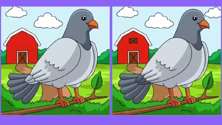 Only eagle eyes can spot 3 differences in Bird pictures within 10 seconds