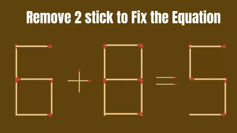 Solve the Puzzle Where 6+8=5 by Removing 2 Sticks to Fix the Equation