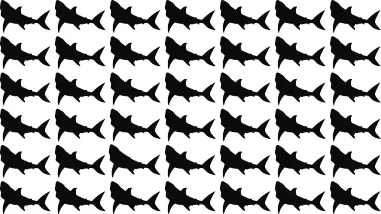 Thinking Test: Can you Spot the odd Fish in 10 Secs