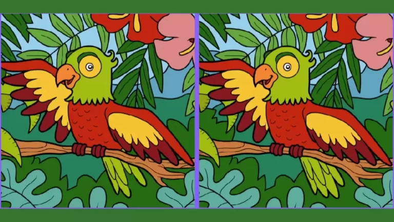 Use your sharp eyes and spot 3 differences in the parrot picture in 12 seconds