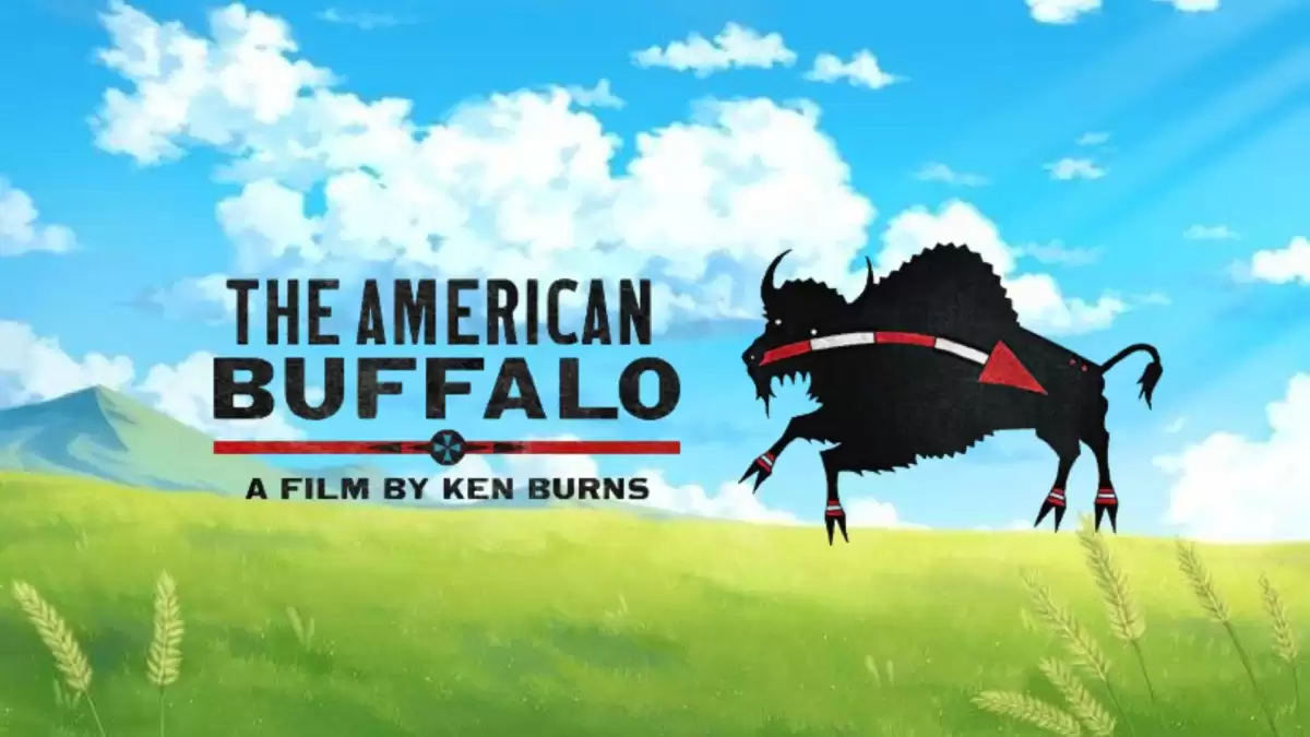 Where To Watch The American Buffalo By Ken Burns Who.webp.webp