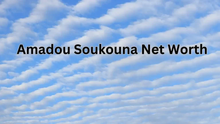 Amadou Soukouna Net Worth in 2023 How Rich is He Now?