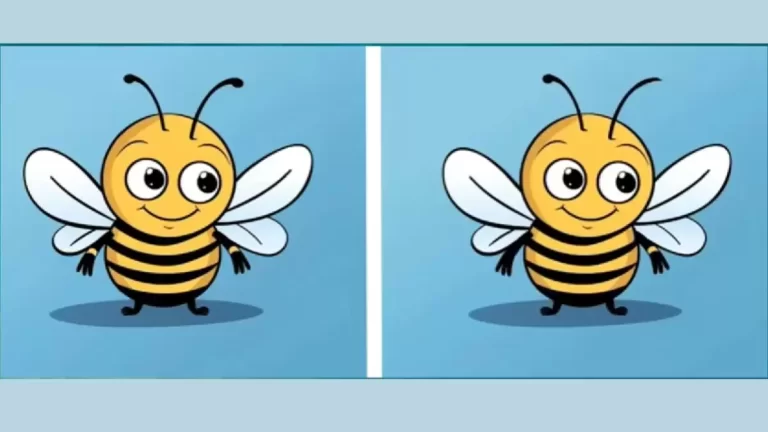 Brain Teaser Spot the Difference Picture Puzzle: Can you Spot the 3 Differences in the Bee Pictures within 12 Seconds?