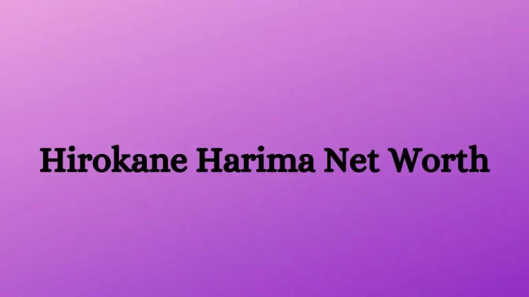 Hirokane Harima Net Worth in 2023 How Rich is He Now?