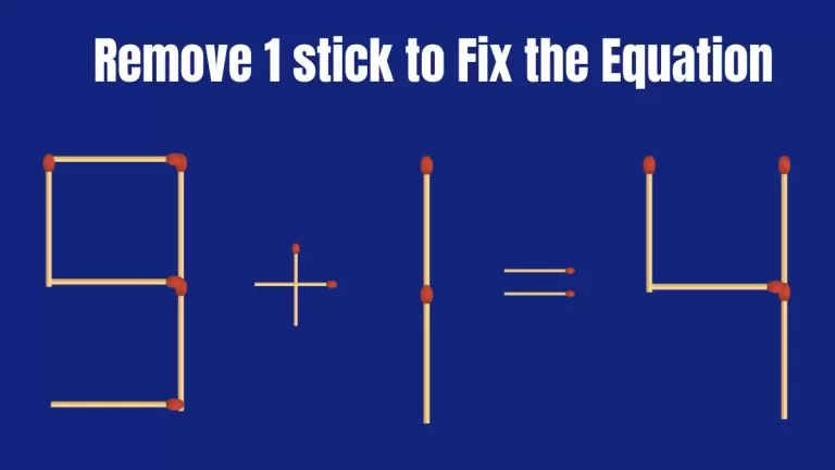 Solve the Puzzle Where 9+1=4 by Removing 1 Stick to Fix the Equation