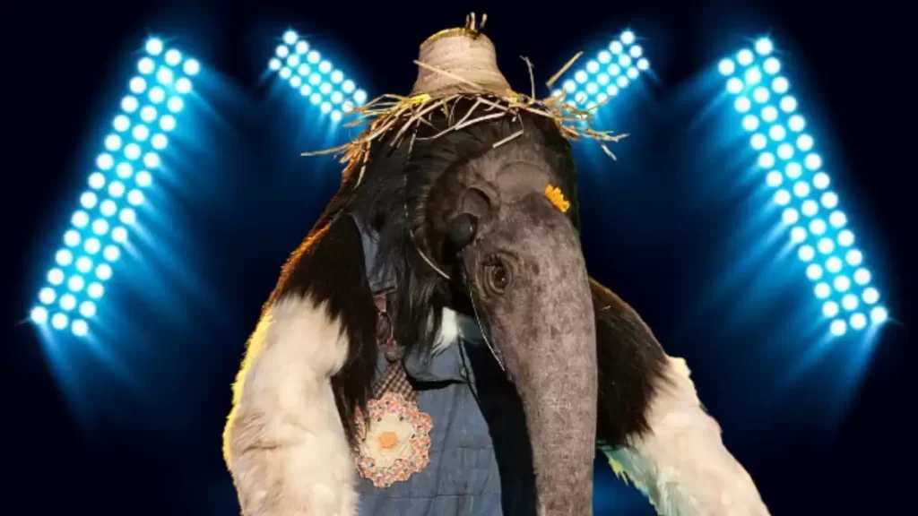 Who Is Anteater On The Masked Singer Season 10 Clues And Guesses Comprehensive English