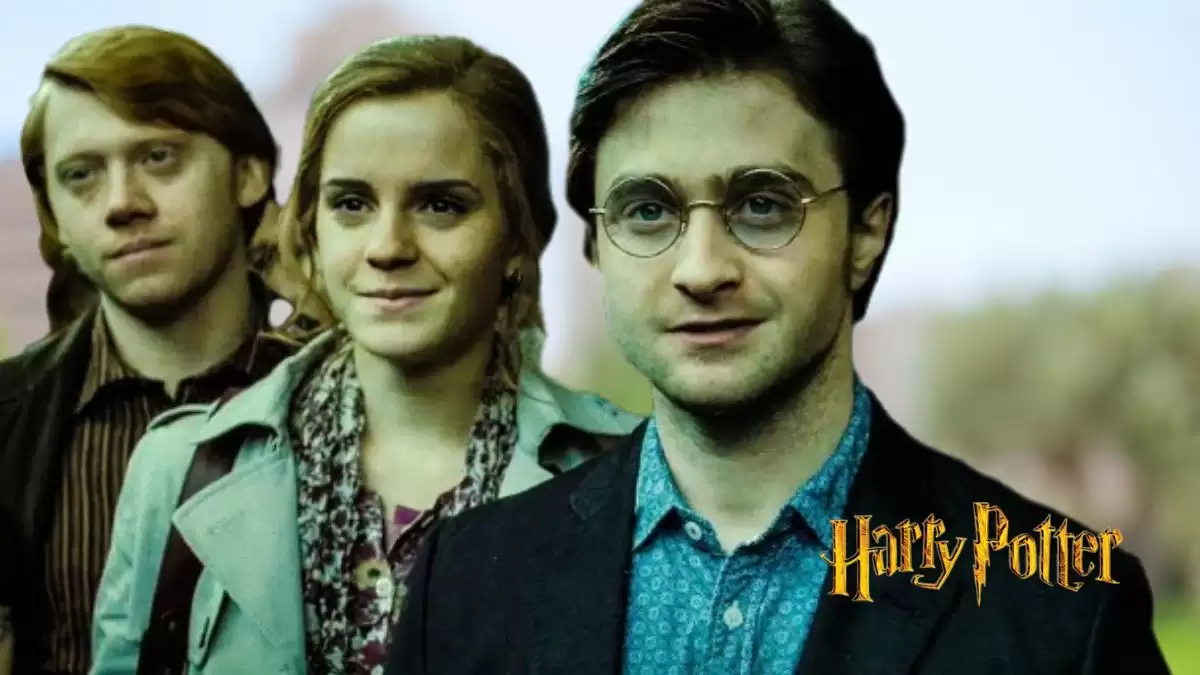 Will There Be Another Harry Potter Movie? Who Will Play the New Harry Potter?