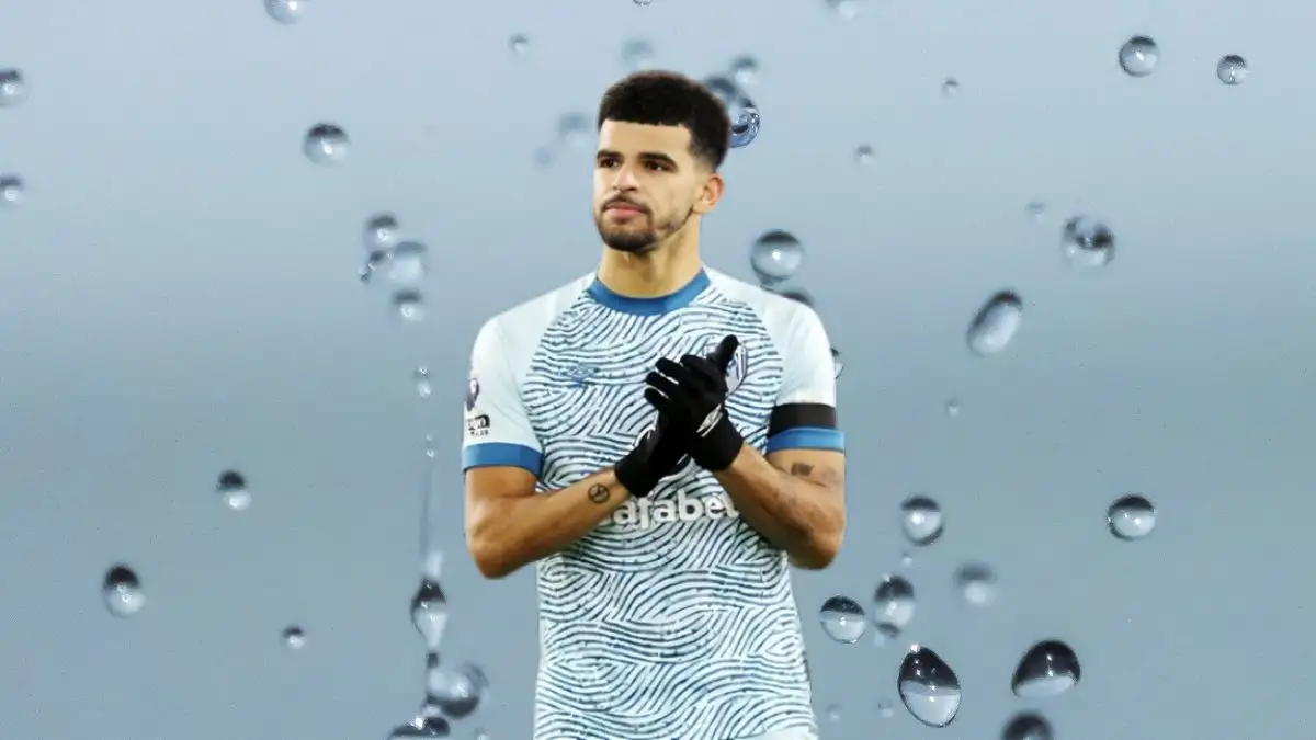 Dominic Solanke Net Worth in 2024 How Rich is He Now?