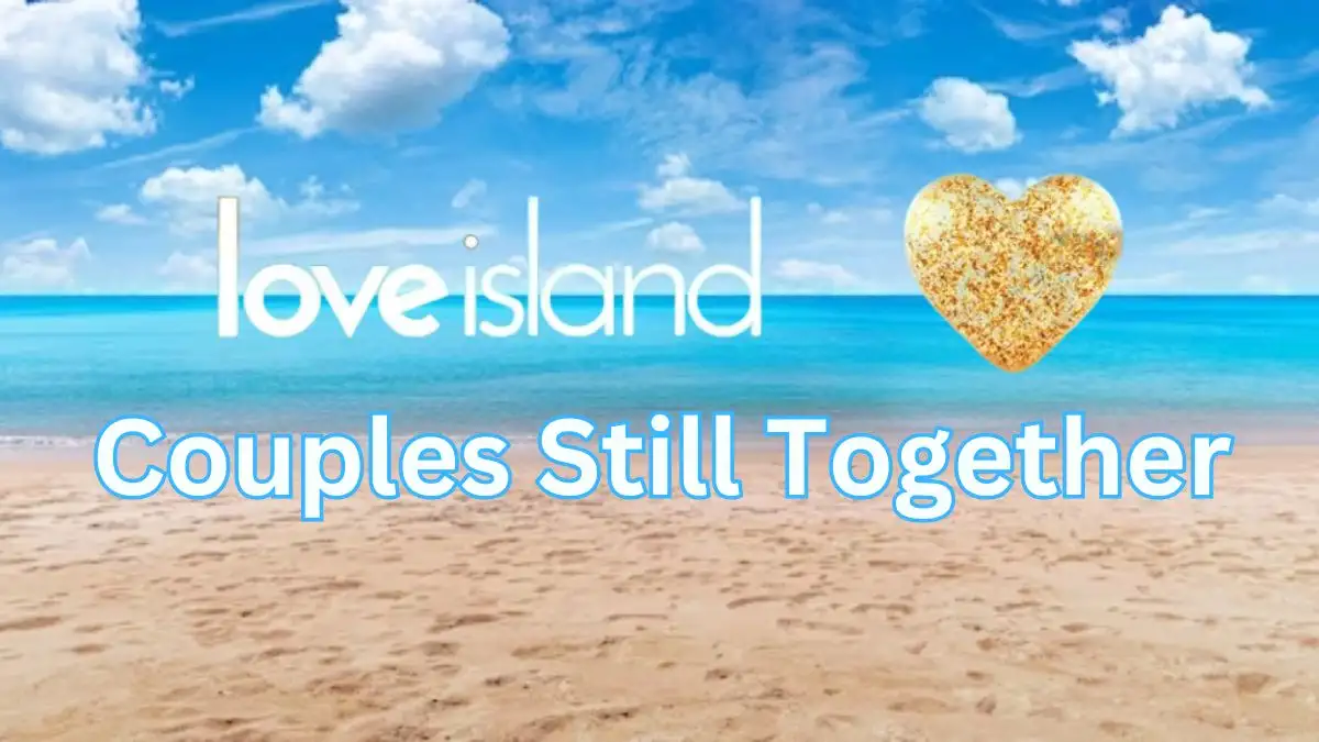 Love Island Couples Still Together Comprehensive English Academy NYSE