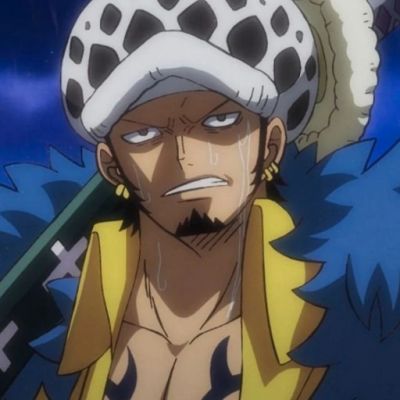 Trafalgar Law Relationship: Is Trafalgar Law Related To Sengoku?