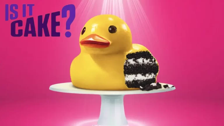 Will There Be an Is It Cake Season 3? Is It Cake Season 3 Release Date