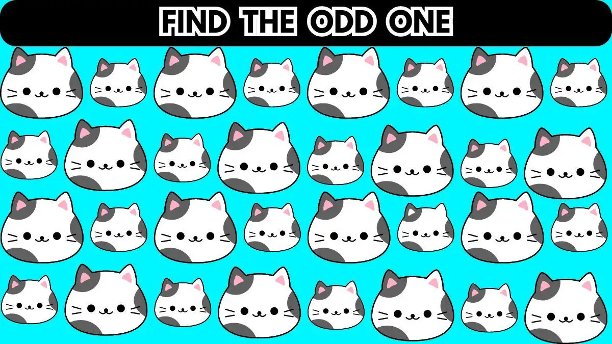 Brain Teaser Challenge: Can You Find The Odd One In 10 Seconds?