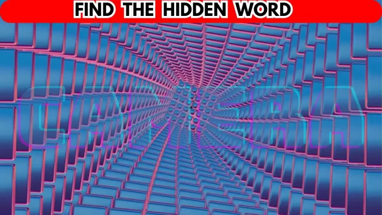 Optical Illusion: Can You Find the Hidden Word in 10 Secs