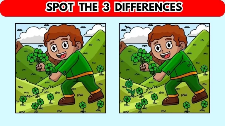Optical Illusion: Look at the Image and Spot 3 Differences in 8 Seconds